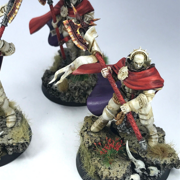 Praetors Stormcast Eternals - Painted - Warhammer Age of Sigmar C1328