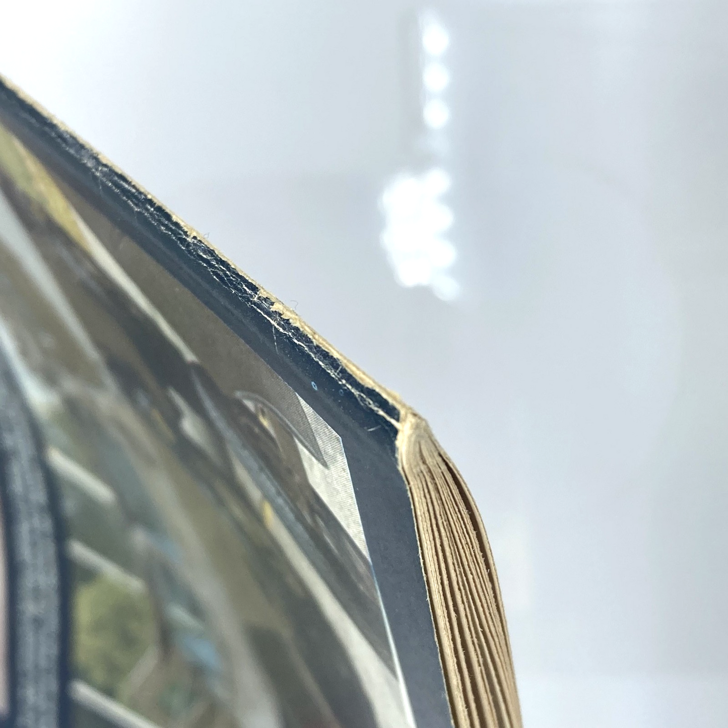 dc7821b0-3f60-49ff-935e-043569e1dcba