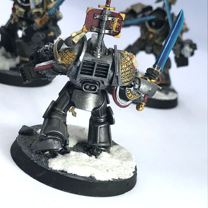 Grey Knights Paladin Terminator Squad Space Marines Warhammer 40K Painted C4735