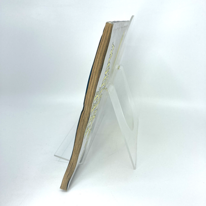 dd4503bf-4b68-414a-b9ac-98dd865a90e5