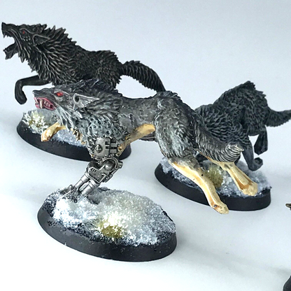 Space Wolves Fenrisian Wolves - Warhammer 40K Games Workshop Painted C1030