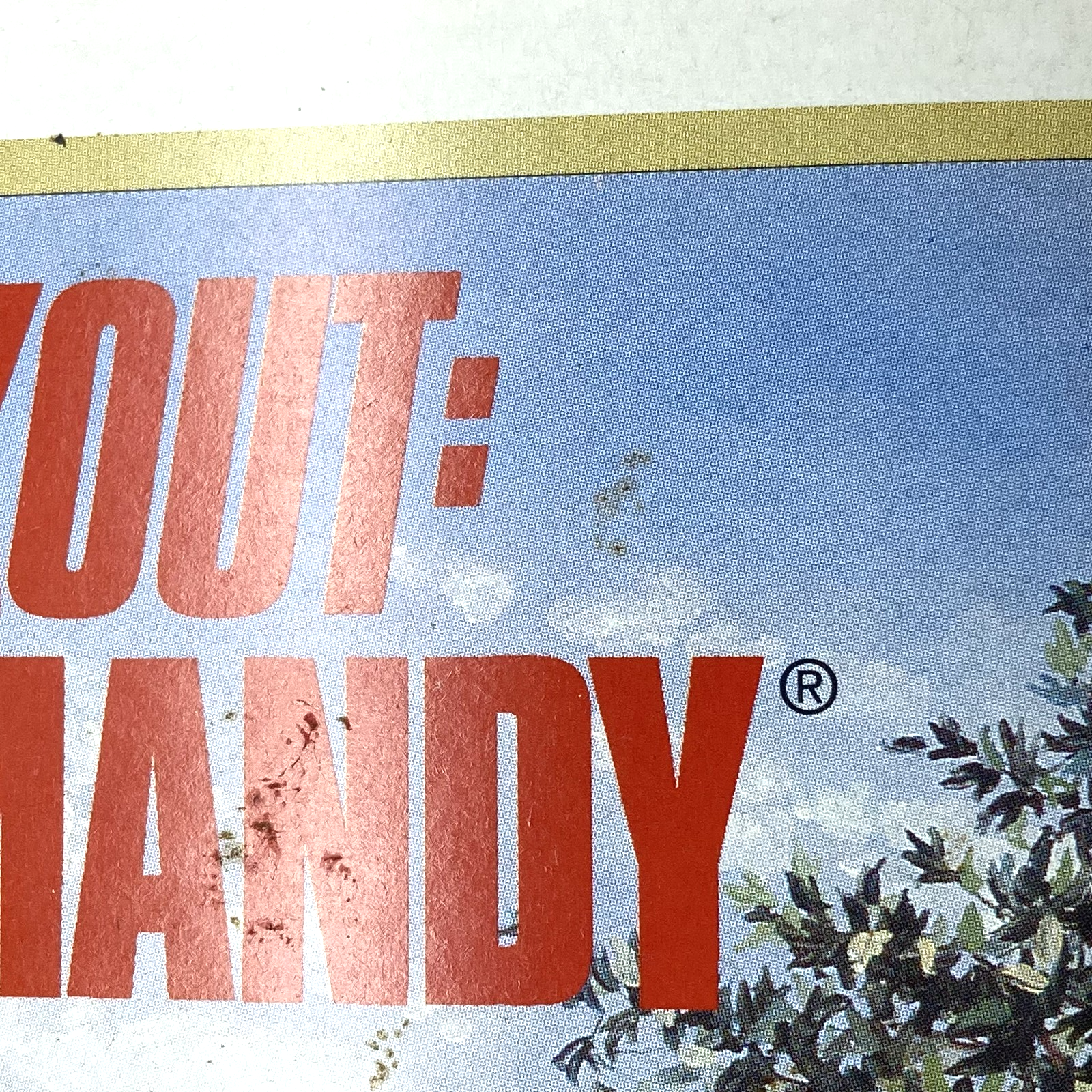 df11a9ac-4d4d-4587-a433-1d5b17c1be61