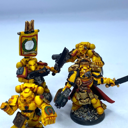 Company HQ Squad Imperial Fist Space Marine - Painted - Warhammer 40K C3123