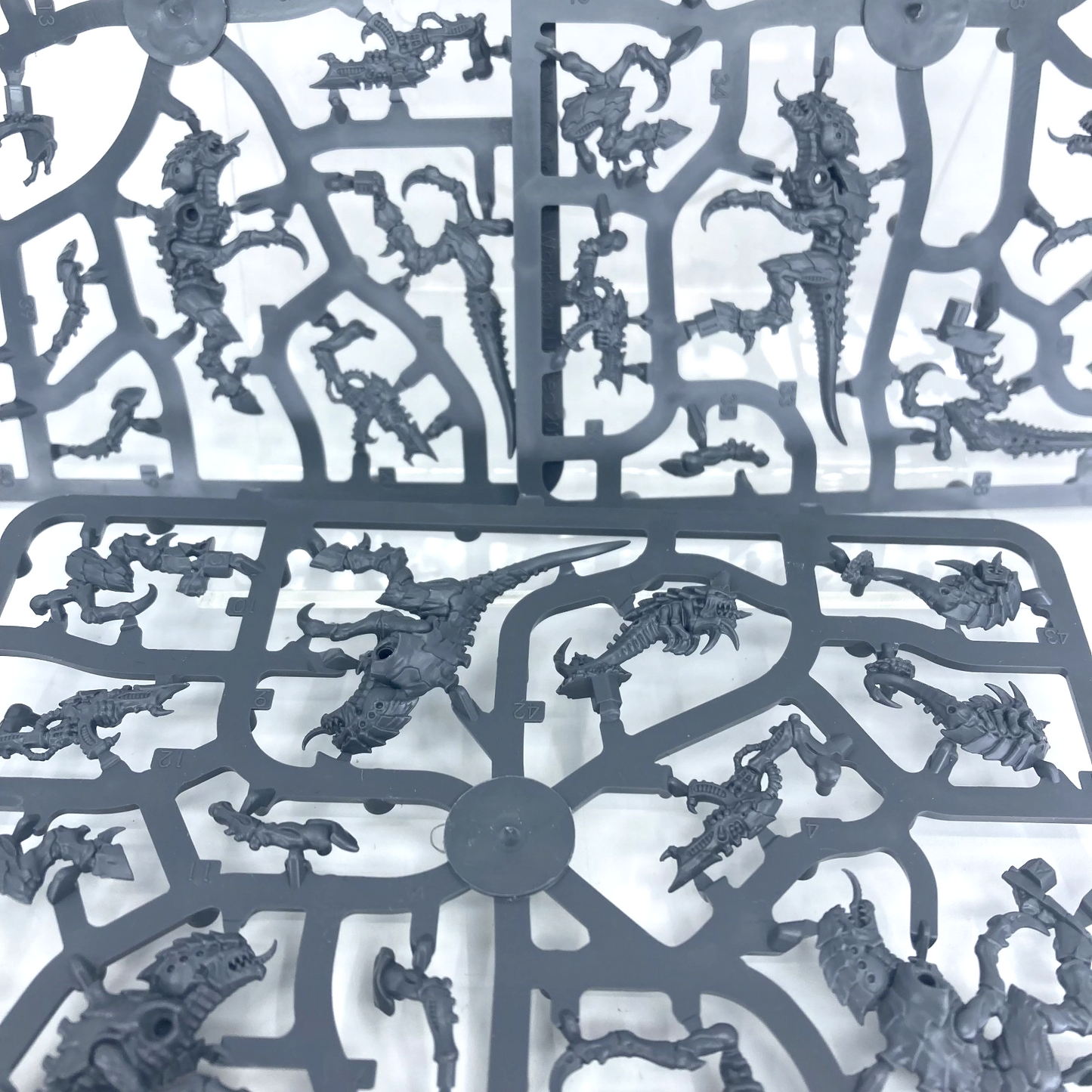 e24404fe-568d-472f-b1de-cd5a7ff9571a