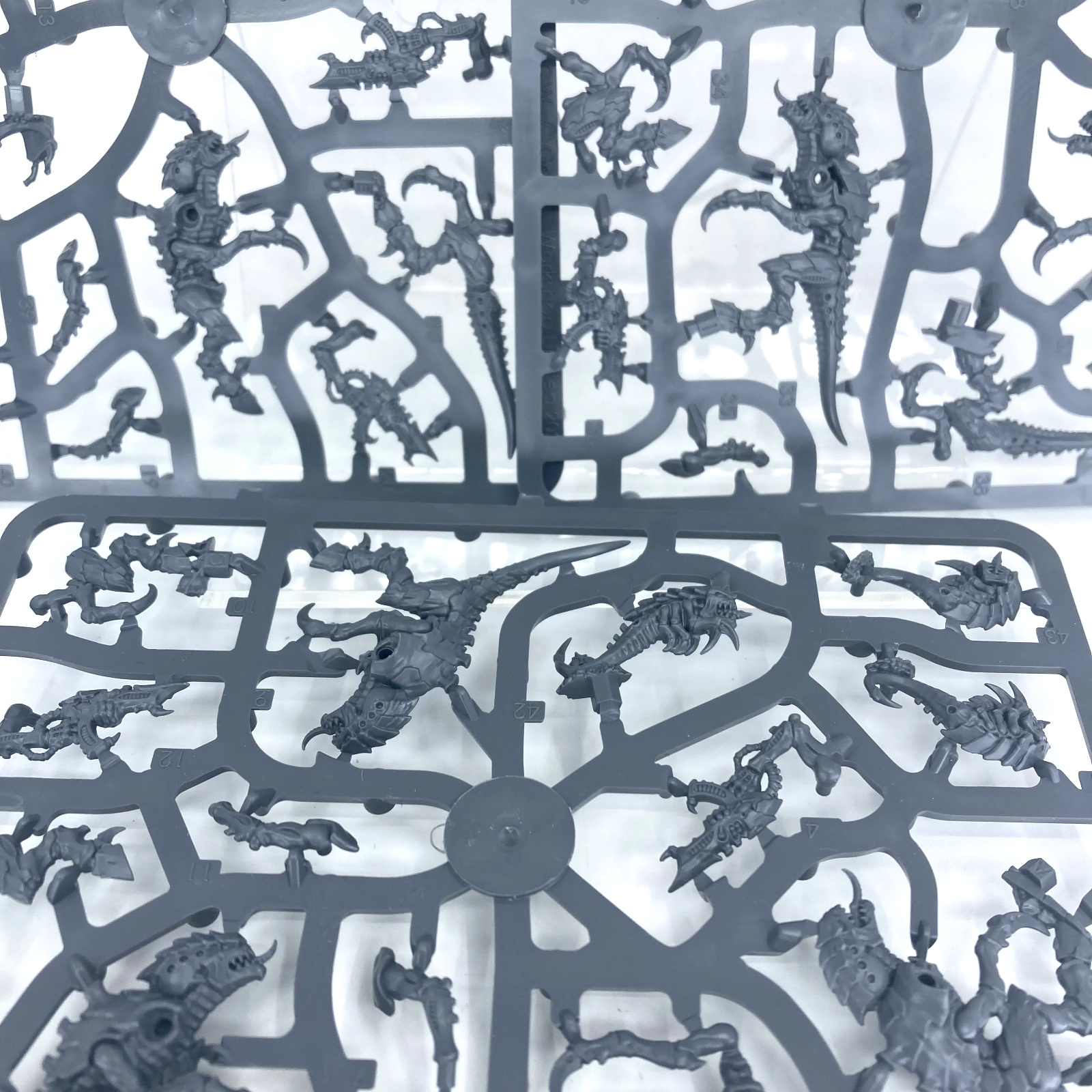 e24404fe-568d-472f-b1de-cd5a7ff9571a