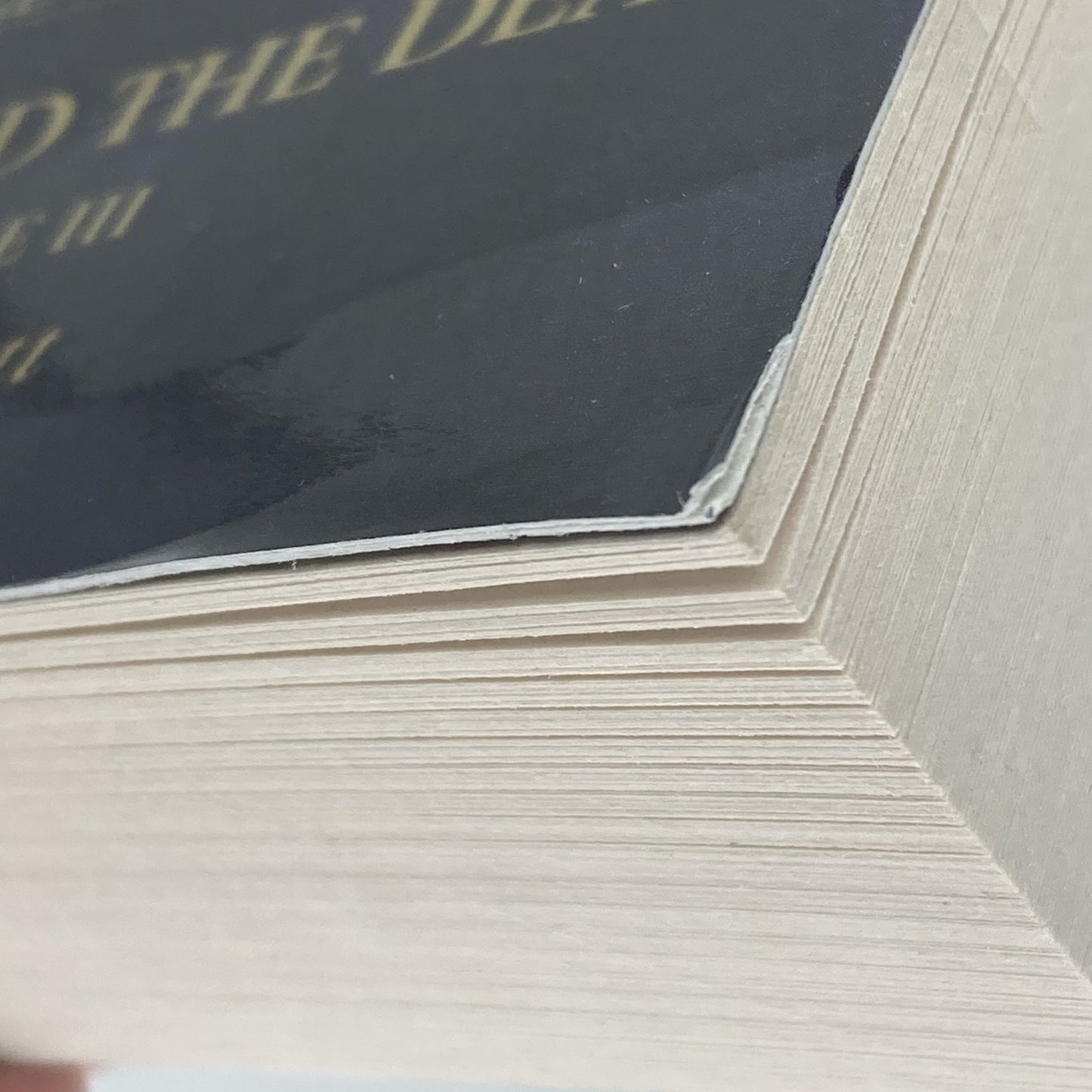 e5355c18-f4a7-4332-b9d8-b337c0845709