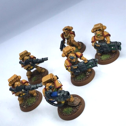 Imperial Fists Devastator Squad Space Marines - Warhammer 40K Painted C4760