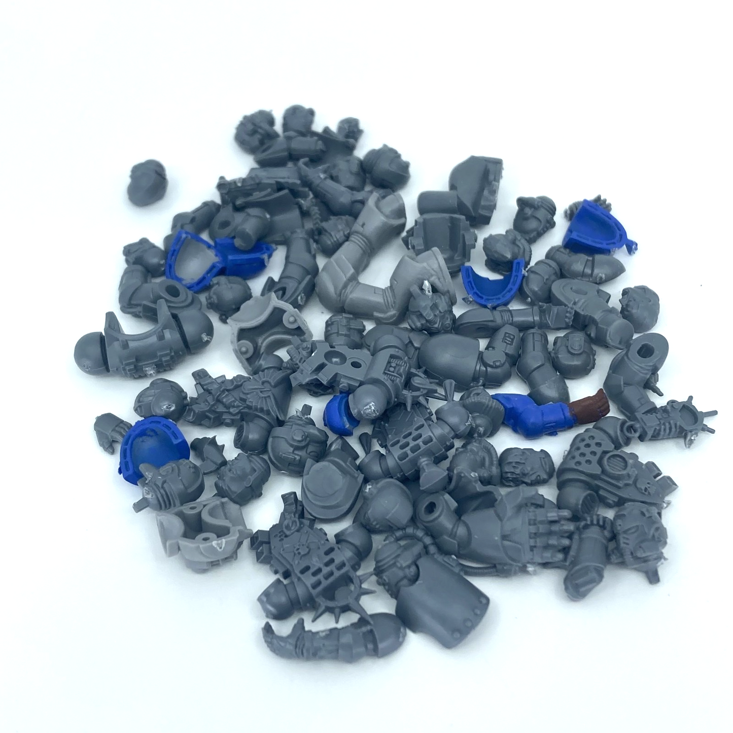 e711d9d9-926c-4adb-8331-e9ae087e8d1b