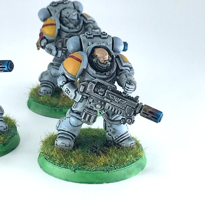 Primaris Eradicators Space Wolves - Warhammer 40K Games Workshop Painted C4985