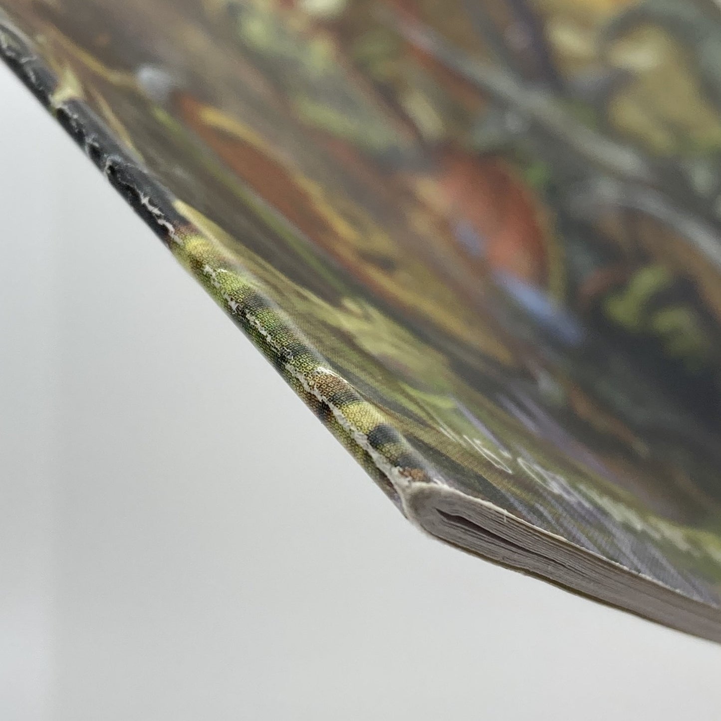 e92a0ba6-6170-4ec0-8bf6-86a013aedba3