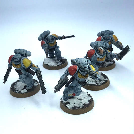 Assault Intercessors Space Wolves Space Marines - Painted - Warhammer 40K C3329