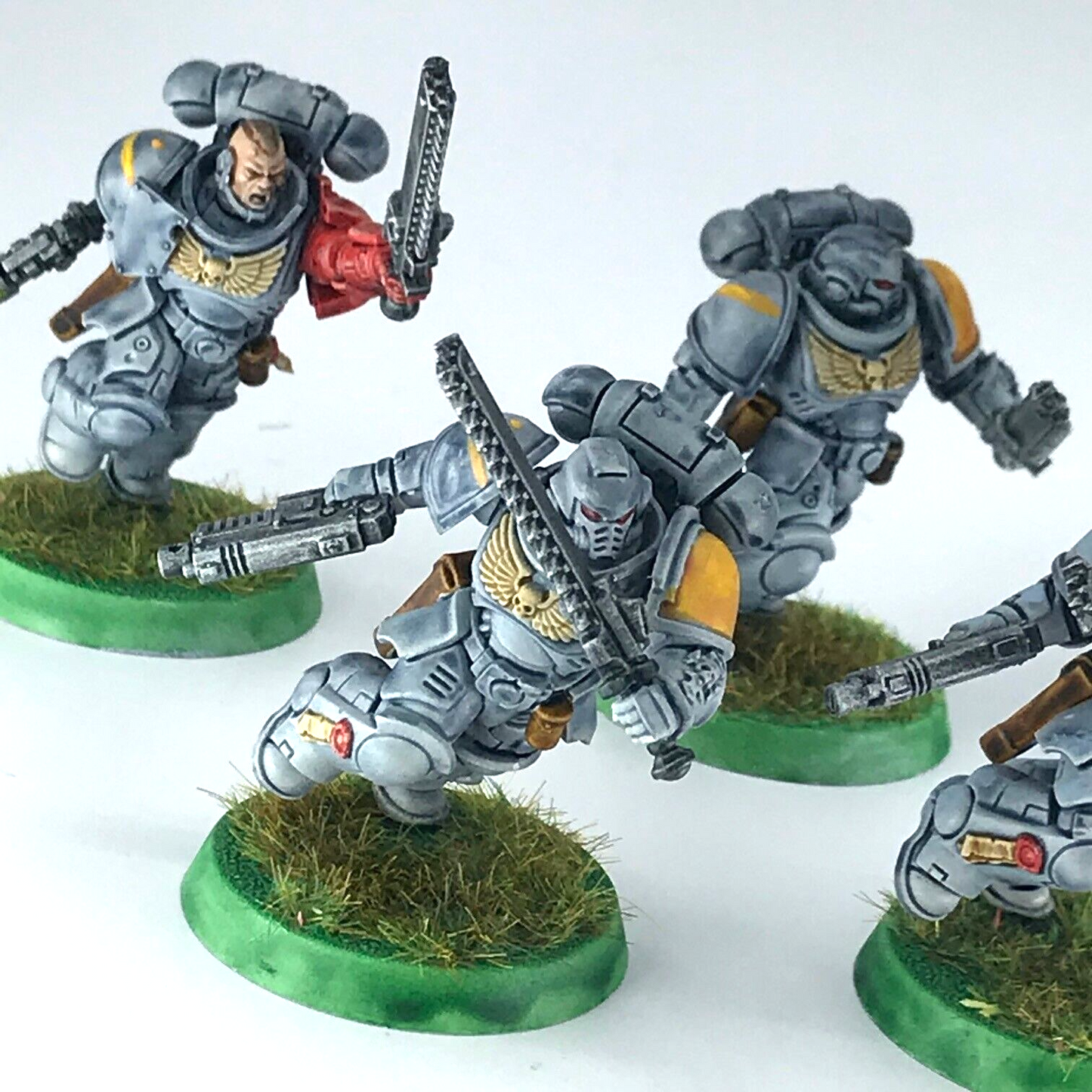 Primaris Assault Intercessors Space Wolves - Warhammer 40K Painted C4847