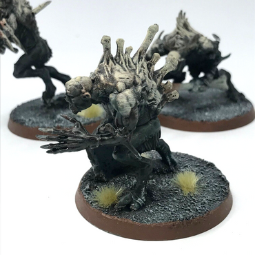 Crypt Horrors Flesh-eater Courts - Painted - Warhammer Age of Sigmar C2619