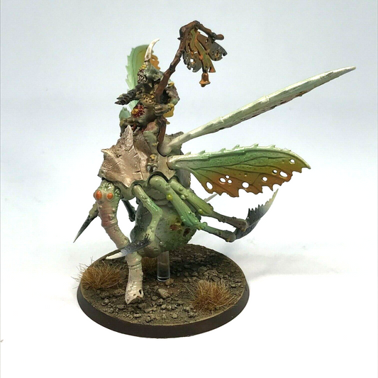 Plague Drone Maggotkin of Nurgle Chaos Warriors - Warhammer Age of Sigmar BOX86