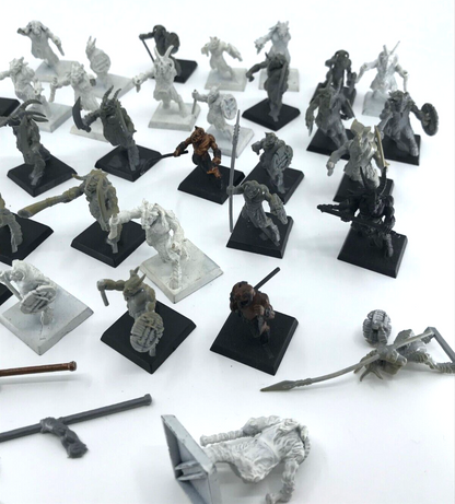 Beastmen Infantry - Varying Condition / Incomplete - Warhammer Fantasy C3660