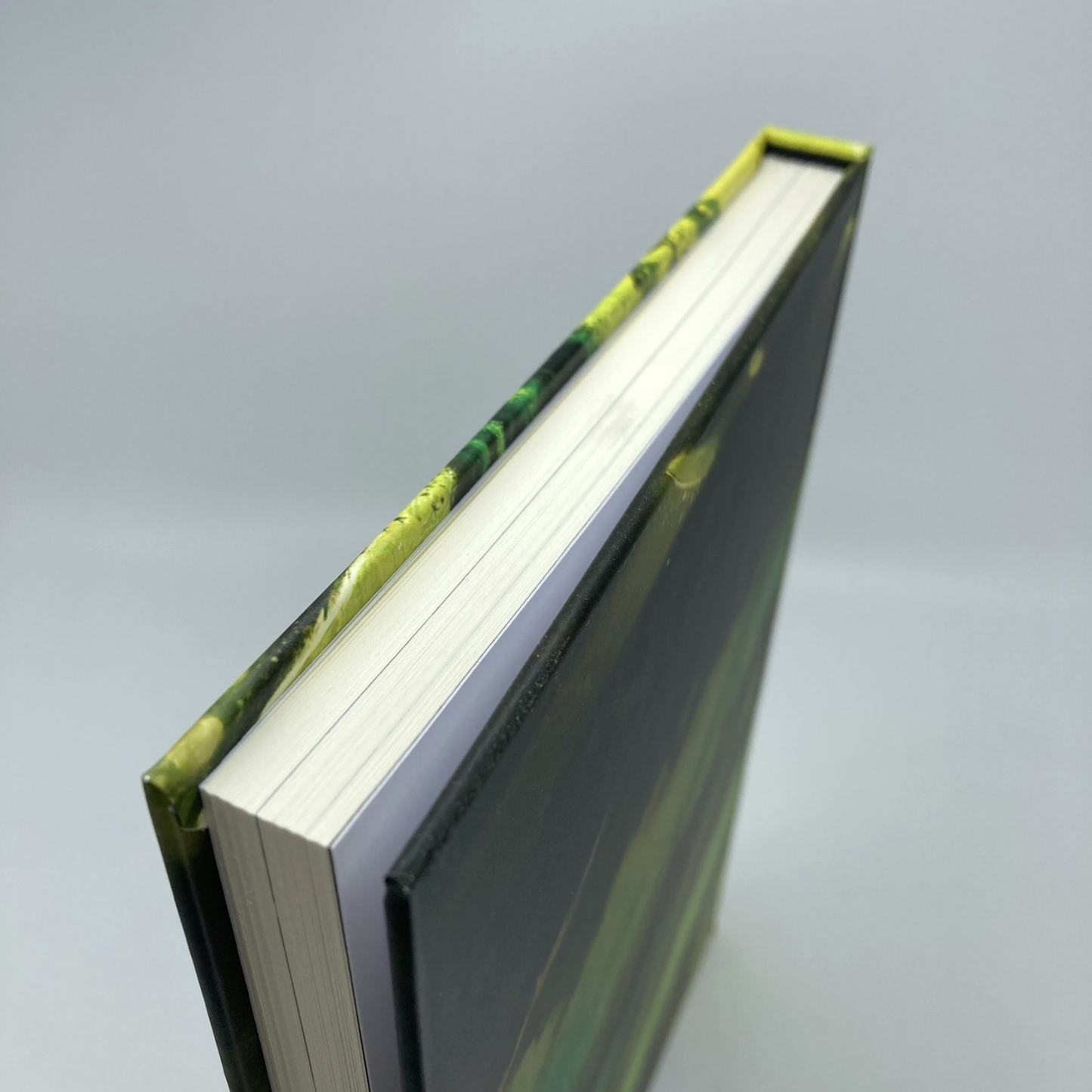 ef380b4f-59fe-42b8-830b-c6c454f6da19