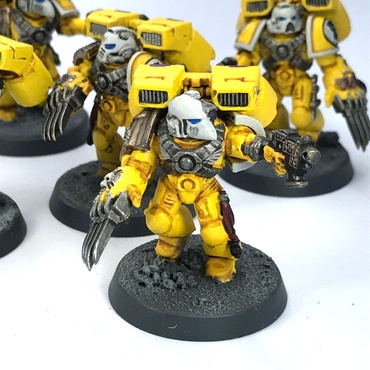 Imperial Fists Assault Marines Space Marines - Painted - Warhammer 40K C3824