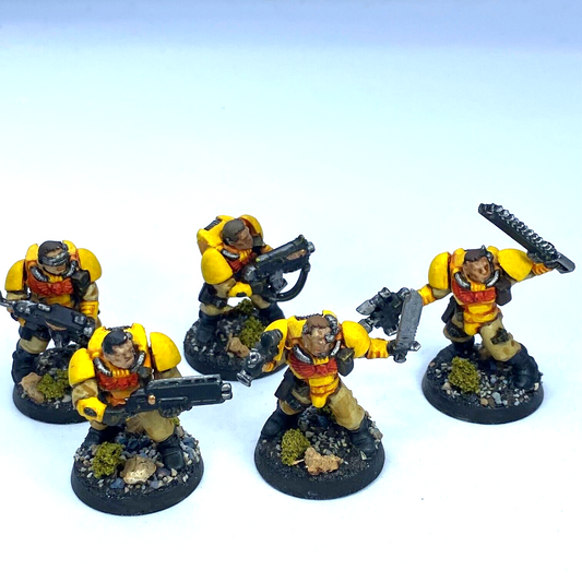 Scout Squad Imperial Fists Space Marine - Painted Warhammer 40K C3120