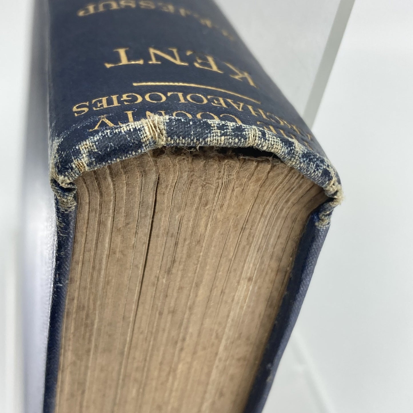 f2628719-e6dd-42fd-aca7-65a276d70573