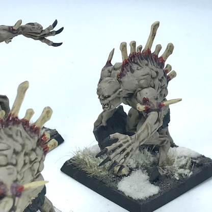 Crypt Horrors Flesh-eater Courts - Painted - Warhammer Age of Sigmar C1940