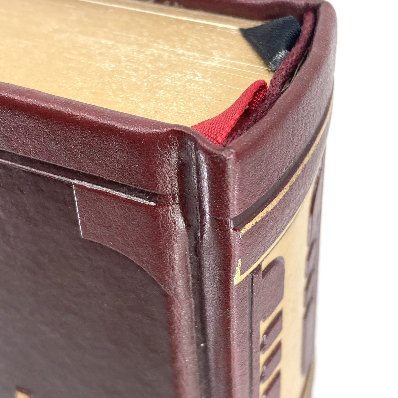 f340dba8-0db4-4808-8b1e-c01b1cde8986