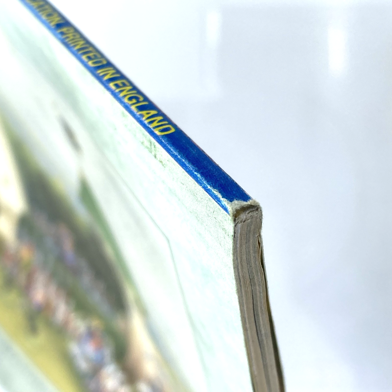 f6c2afff-0562-4dee-b759-c994a7d5d93e