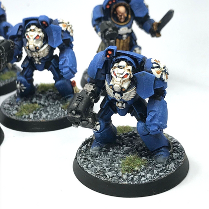 Ultramarine Terminator Squad Space Marine - Painted - Warhammer 40K C2543