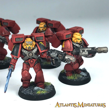 Blood Angel Assault Squad Space Marines - Painted - Warhammer 40K C1953