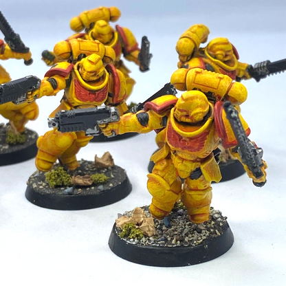 Assault Intercessors Imperial Fist Space Marine - Painted - Warhammer 40K C3127