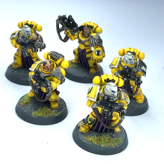 Imperial Fists Veteran Squad Space Marines - Painted - Warhammer 40K C2608