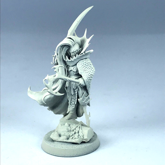 Black Ark Fleetmaster Dark Elves Elf - Warhammer Fantasy / Age of Sigmar X1212