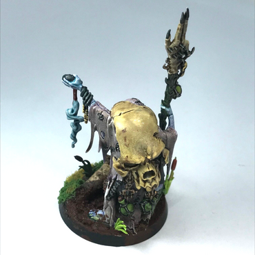 Sorcerer Mage Kruleboyz Orcs Orks Orruks - Warhammer Age of Sigmar C2718