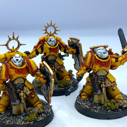 Bladeguard Veterans Imperial Fists Space Marine - Painted Warhammer 40K C3119