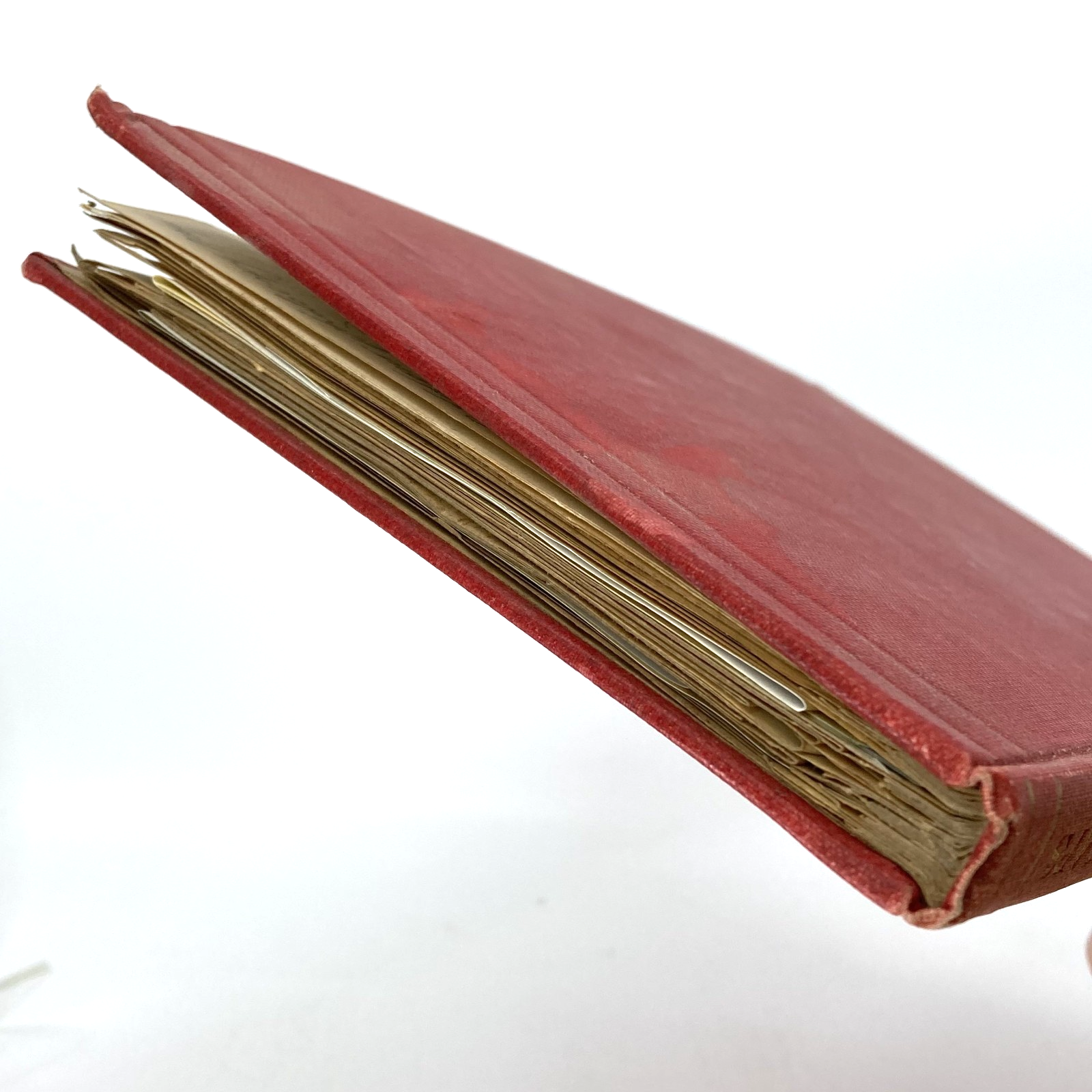 fdf37bae-6b37-4a92-84d1-0897e40679db