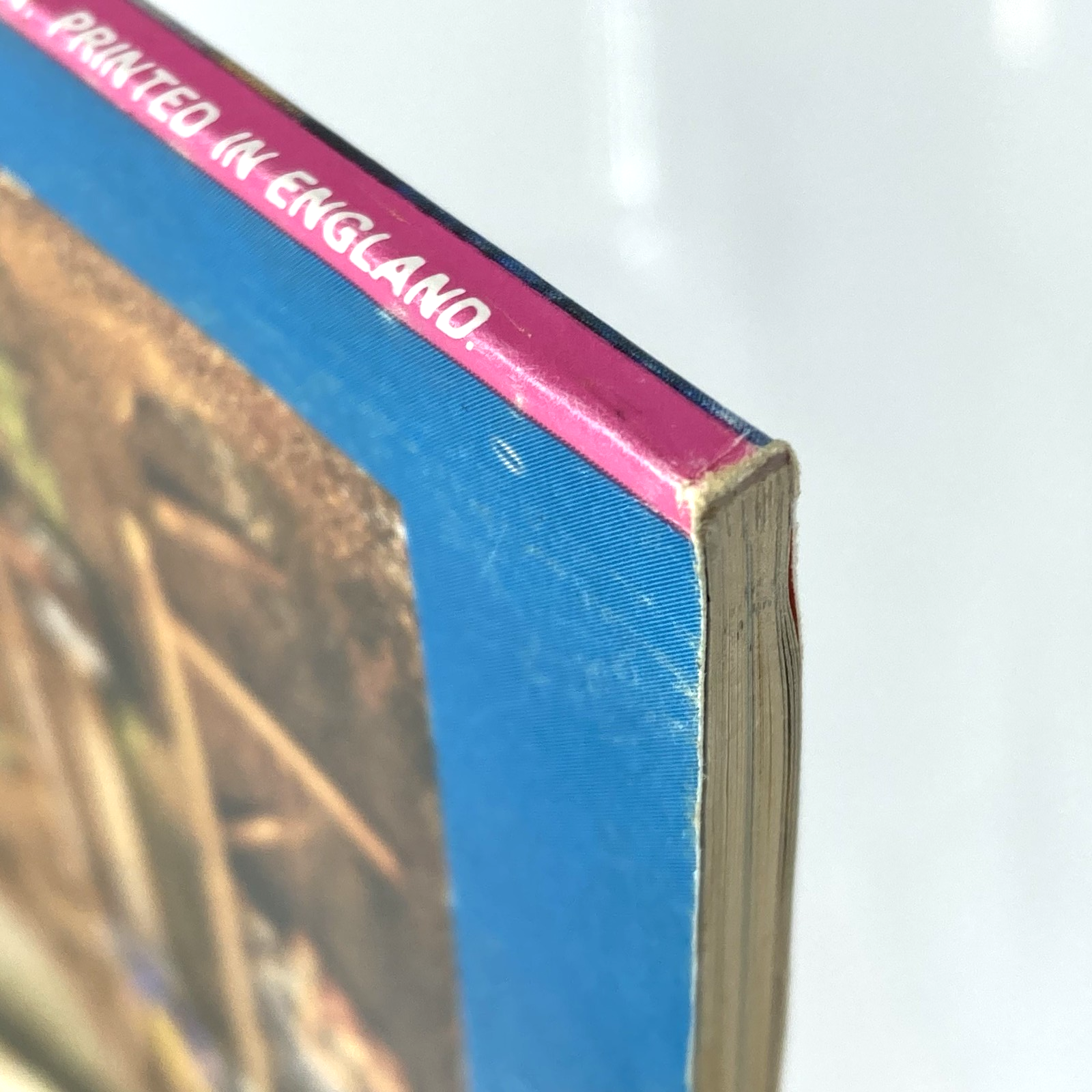 fe17b140-6bf0-4e0e-a63c-6a13b7341fb5