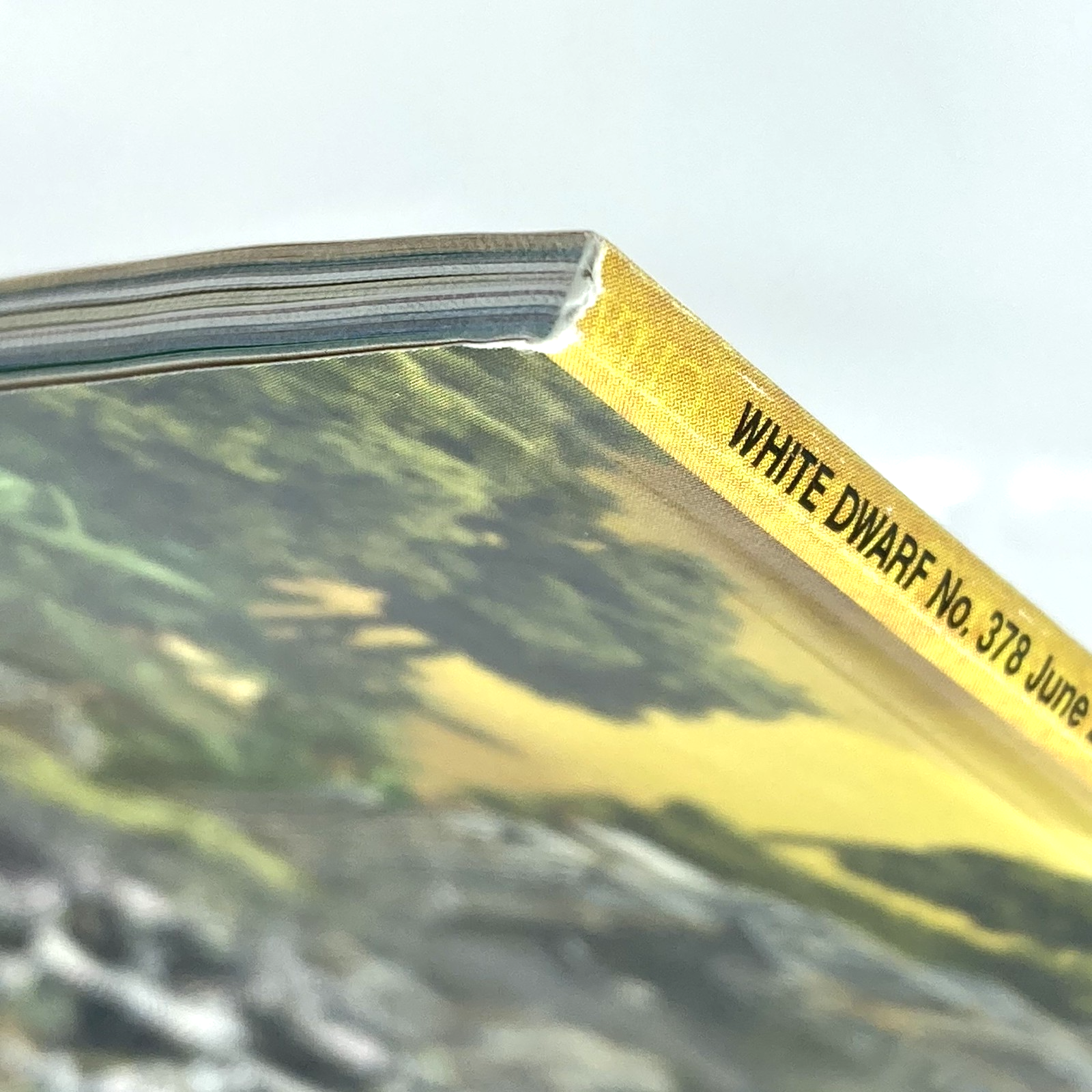 ffe6f8ed-7fd3-4726-bfd1-51c2506949a0